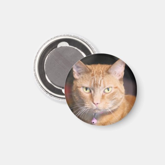 Kat Magneet (Voorkant / Achterkant)