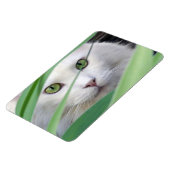 Kat magneet (Linkerzijde)