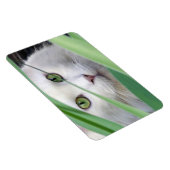 Kat magneet (Rechterzijde)