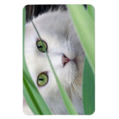 Kat magneet (Verticaal)