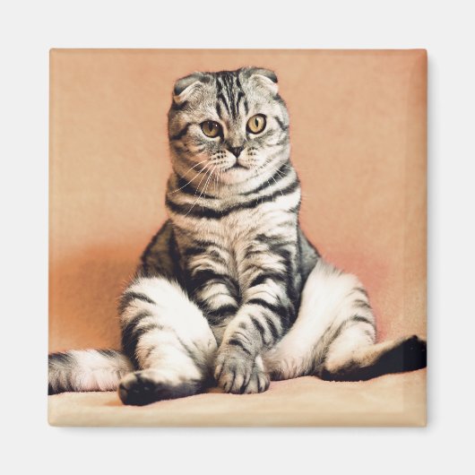 Kat Magneet (Voorkant)