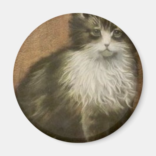 Kat Magneet (Voorkant)