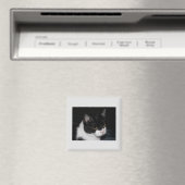 Kat Magnet Magneet (Insitu (Vaatwasser))