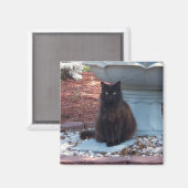  Kat Magnet Magneet (Voorkant / Achterkant)