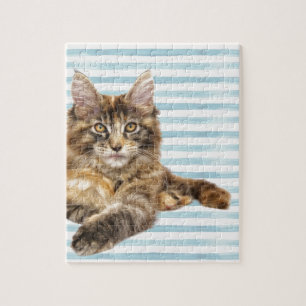 Kat, Maine Coon Legpuzzel