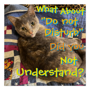 Kat met attitude poster perfect poster