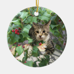 Kat met bessen Holly Ornament