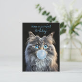 Kat met blauwe ogen die een blauwe kauwgomblaas bl briefkaart (Staand voorkant)