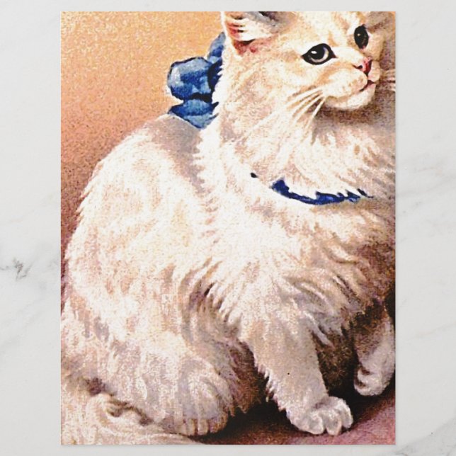  kat met blauwe poot (Voorkant)