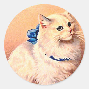 kat met blauwe poot ronde sticker