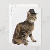 Kat met bovenste hoed briefkaart (Voorkant / Achterkant)