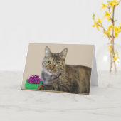 Kat met cadeau Verjaardag Kaart (Gele Bloem)