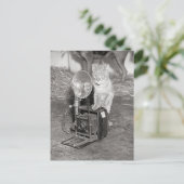 Kat met camera, 1936 briefkaart (Staand voorkant)