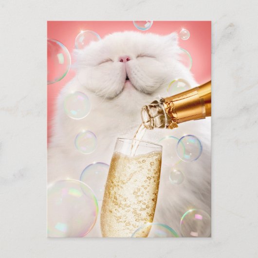 Kat met champagne uitnodiging briefkaart (Voorkant)