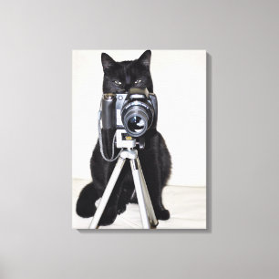 Kat met de camera canvas afdruk