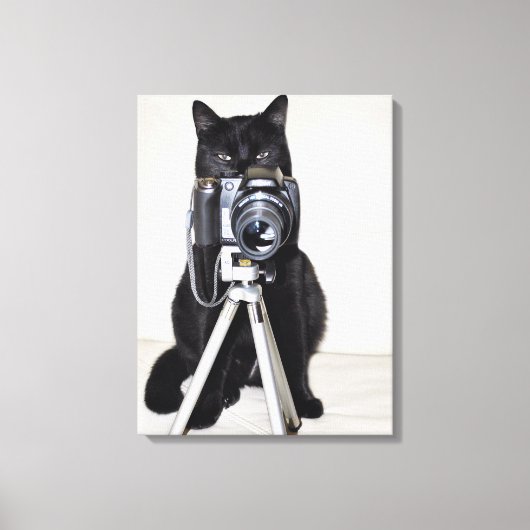 Kat met de camera canvas afdruk (Voorkant)
