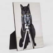 Kat met de camera fotoplaat (Zijkant)