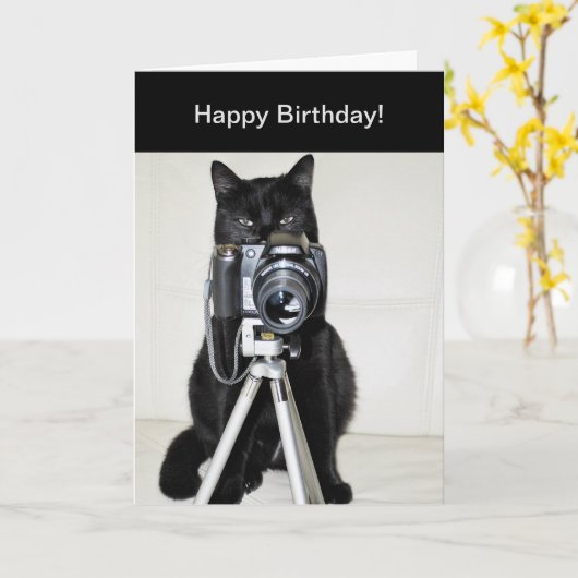 Kat met de camera kaart (Gele Bloem)