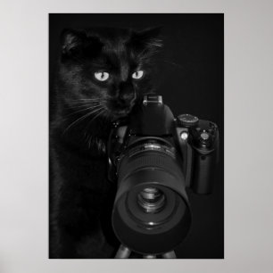Kat met de camera poster