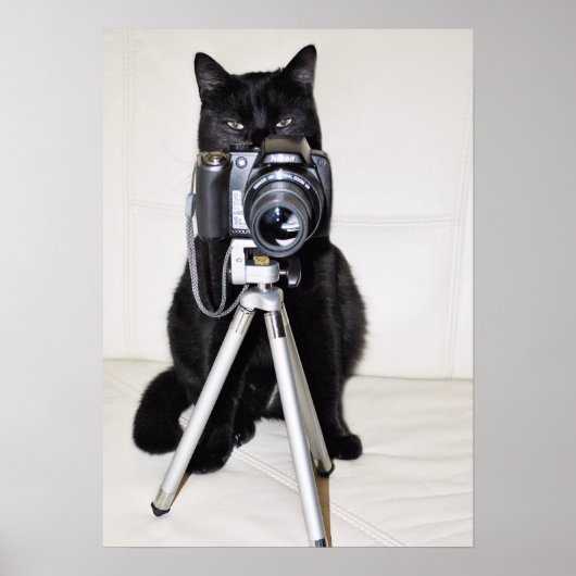 Kat met de camera poster (Voorkant)