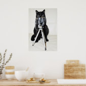 Kat met de camera - poster (Keuken)
