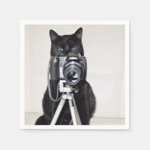 Kat met de camera servet