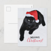 Kat met de Rode Kerstman muts Feestdagenkaart (Voorkant / Achterkant)