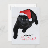 Kat met de rode kerstmuts feestdagenkaart (Voorkant / Achterkant)