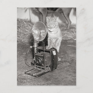 Kat met een camera, 1936 briefkaart