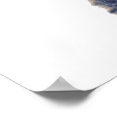 Kat met een coole zonnebril poster (Hoek)