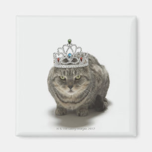 Kat met een tiara magneet