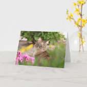 Kat met Geranium Kaart (Gele Bloem)