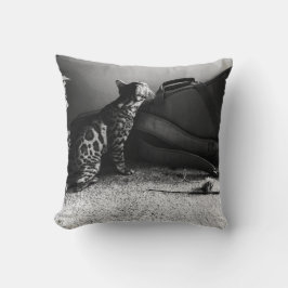 Kat met gitaarkussen kussen