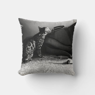 Kat met gitaarkussen kussen