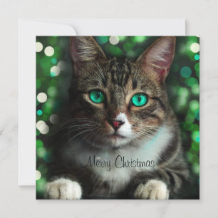 Kat met Green Eyes Flat Square-kerstkaart Kaart