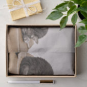 Kat met grijze tablet in de doos tissuepapier (Geschenk)