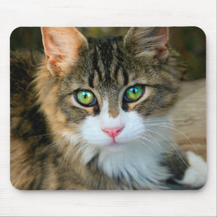 Kat met groene ogen muismat