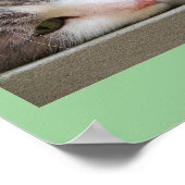 Kat met groene ogen poster (Hoek)