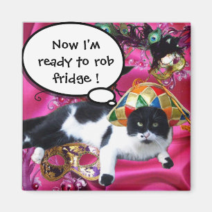 KAT MET HARLEQUIN PET EN MASKERADE PARTIJMASKERS MAGNEET