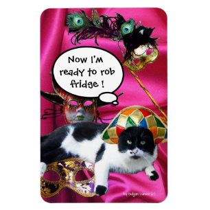 KAT MET HARLEQUIN PET EN MASKERADE PARTIJMASKERS MAGNEET