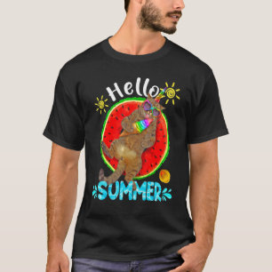 Kat Met Ijs Hello Zomer Zomer Vakantie 1 T-shirt