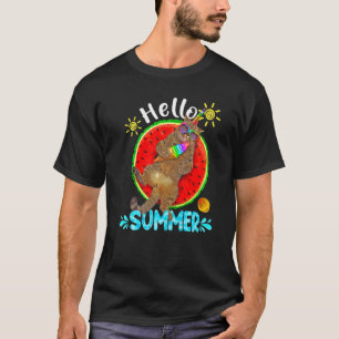 Kat Met Ijs Hello Zomer Zomer Vakantie T-shirt