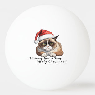 Kat met kerstmuts voor de kerstpingpongbal pingpongballen