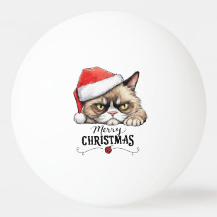 Kat met kerstmuts voor de kerstpingpongbal pingpongballen