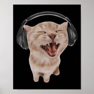 Kat Met Koptelefoon Poster