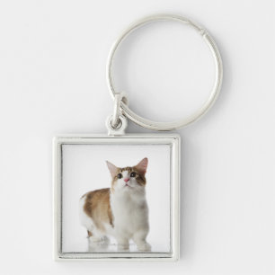 Kat met korte poten sleutelhanger