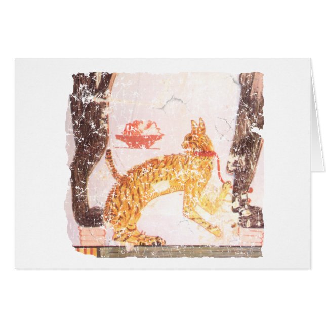 kat met kraag (Voorkant Horizontaal)