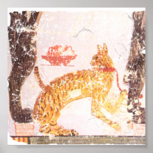 kat met kraag poster