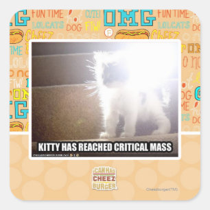 Kat met kritische massa vierkante sticker