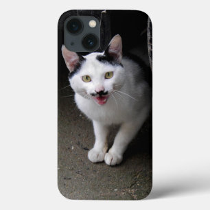 Kat met Mustache iPhone 13 Hoesje